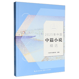 2025年中国中篇小说精选