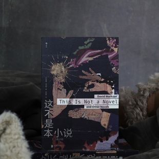 这不是本小说:及其他小说