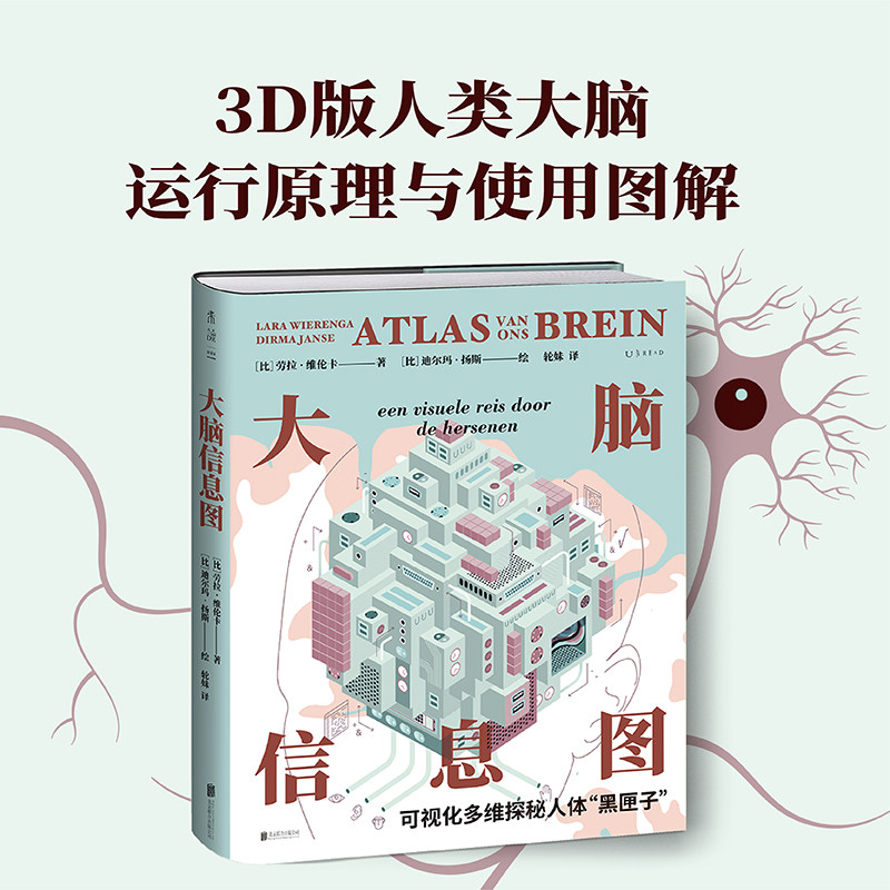 大脑信息图:可视化多维探秘人体“黑匣子”