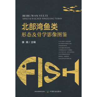 北部湾鱼类形态及骨学影像图鉴