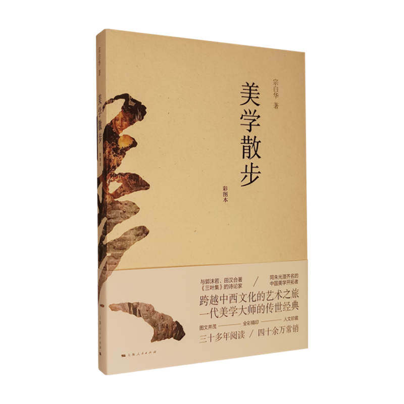 美学散步(彩图本) 宗白华怎么看?