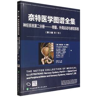 奈特医学图谱全集:神经系统第二分册:脊髓.外周运动与感觉系统(第3版 第7卷)