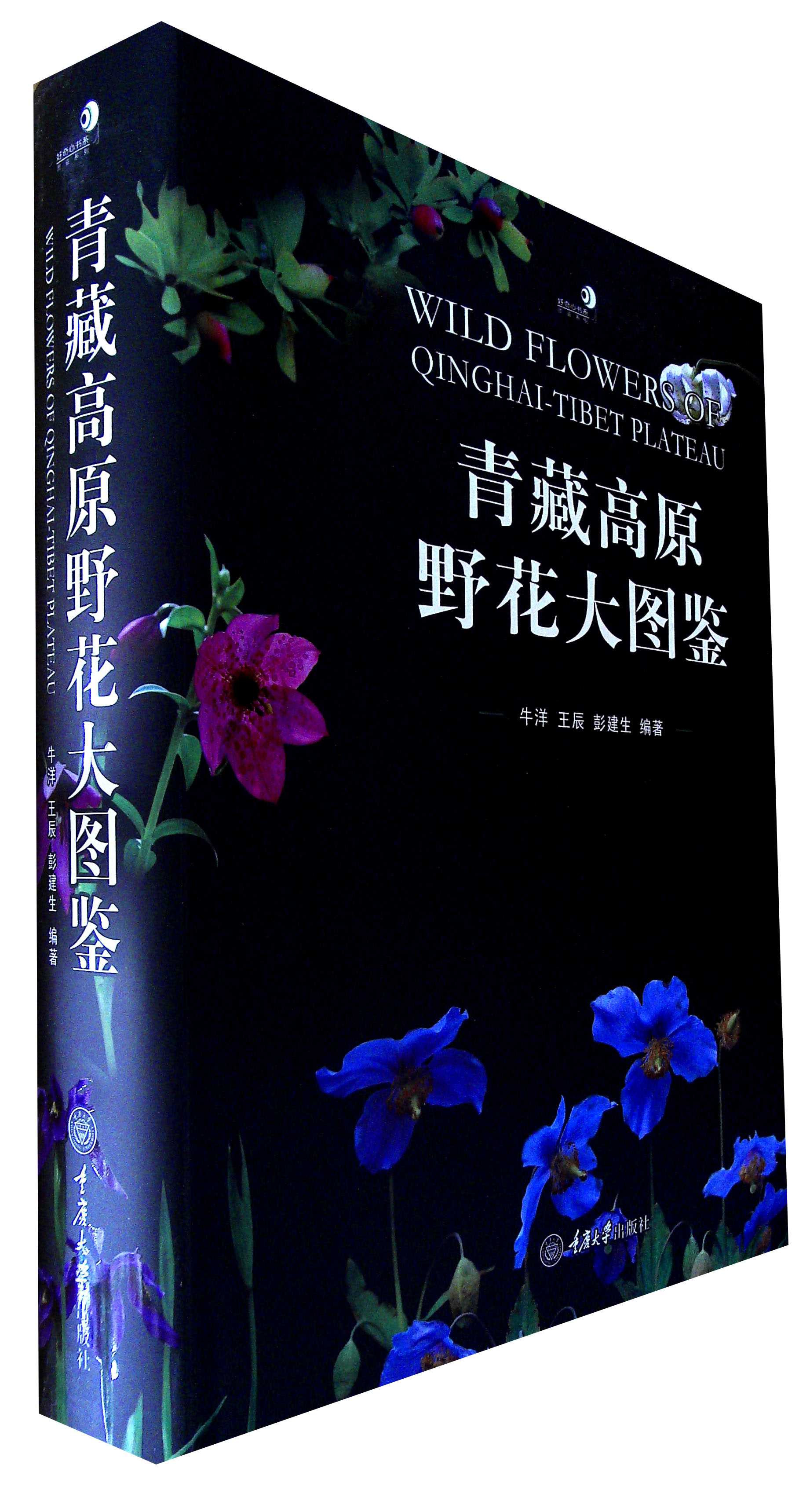 青藏高原野花大图鉴 牛洋 彭建生