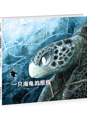 一只海龟的旅程