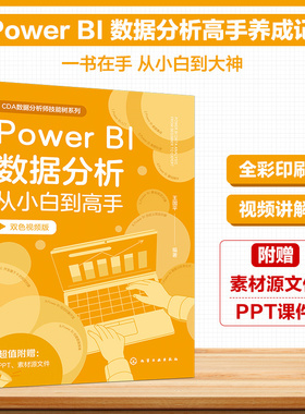 Power BI数据分析从小白到高手(双色视频版)