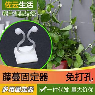 植物绿植电线固定器绿萝爬墙神器家用无痕攀爬藤蔓挂钩卡扣夹室内