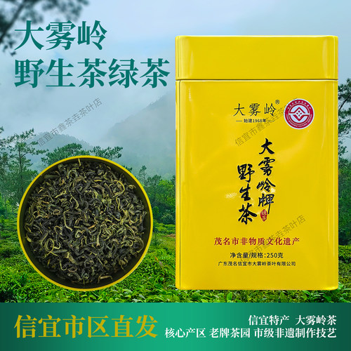大雾岭茶信宜特产绿茶2026年新茶
