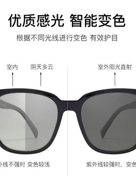 Jardind'amour偏光变色太阳镜男开车钓鱼驾驶TR眼镜框遮阳镜防紫