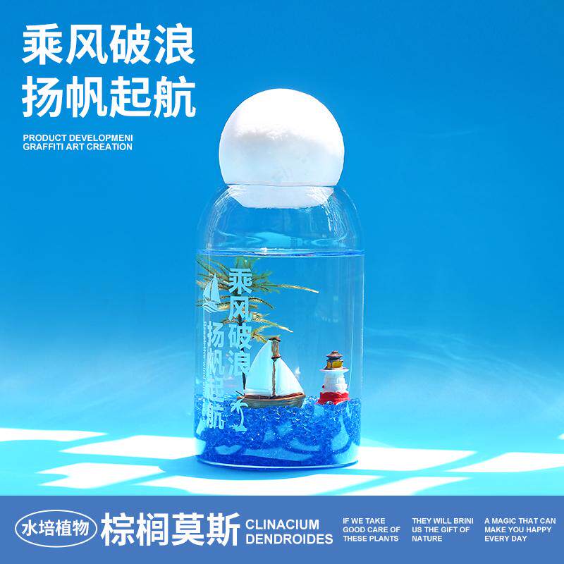 微景观绿植水培办公室棕榈莫斯苔藓盆栽懒人植物桌面摆件节日礼物