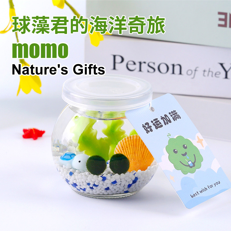 七夕礼物情人节送女友桌面生态瓶海藻球懒人绿植摆件创意礼品可爱