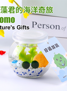 创意桌面生态瓶摆件工位装饰