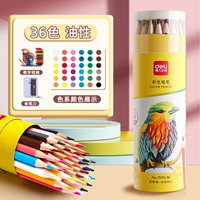 [Обновление масла] 36 Цвета/катя