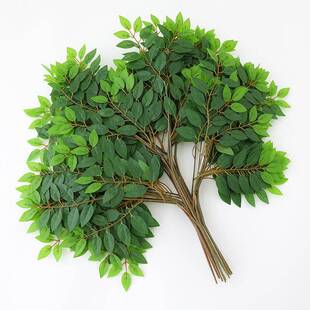 仿真树叶榆树叶槐树叶塑料树枝绿叶工程造景饭店室内绿化装饰假树
