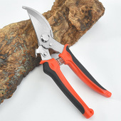 不锈钢修枝剪刀弯头花园剪刀摘果剪绿化园林工具剪盆景树