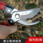 摘果剪刀德之助直头庆塑手柄全钢摘花椒修枝剪果树剪花剪刀园艺剪