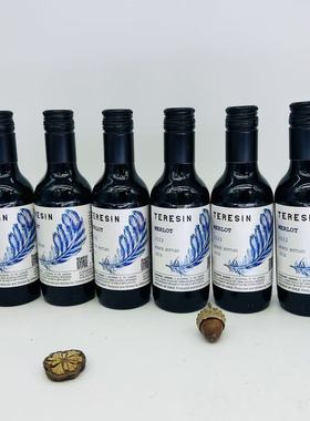 MELOT WINE OF CENTRAL VALLEY CHILE 13%vol 187mlX6