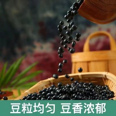 金寨特产大别山农家生态黑豆笨黑豆   发豆芽  打豆浆4斤包邮