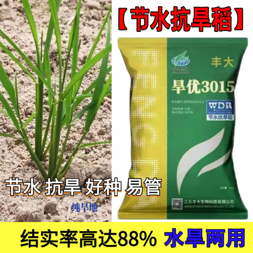 原装正品节水抗旱稻旱优3015水稻种子旱稻种子山地水稻旱稻大全
