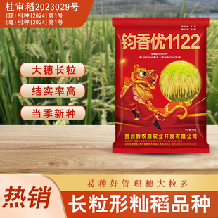 原装优质长粒谷种钧香优1122杂交水稻种子抗倒抗病适宜早中晚稻