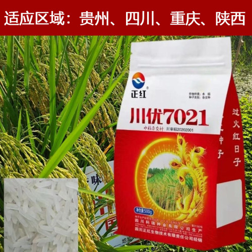 香米川优7021标准1级水稻种子