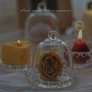 fourmeals香薰蜡烛小烛台摆件ins托盘玻璃钟罩拍照道具盘 微微