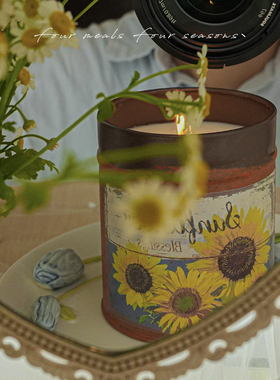 《daydreamer》丝绒玫瑰乌木大罐香薰蜡烛女生礼物卧室送礼高级