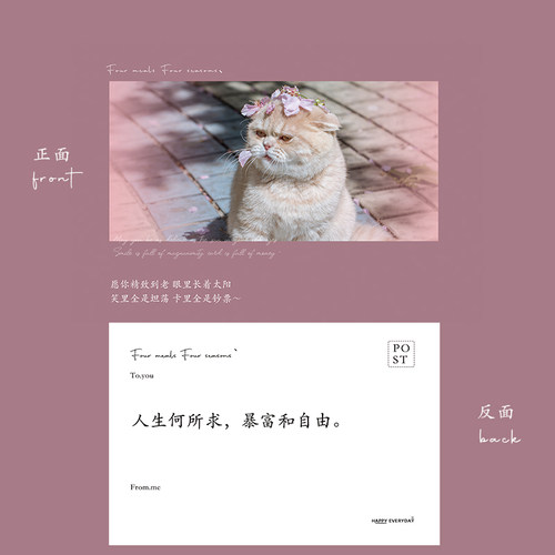 fourmeals明信片盐系情书明信片