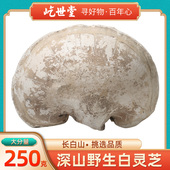 灵芝 玉灵芝东北长白山非西藏野生云南整支苦白蹄林芝250g 白灵芝