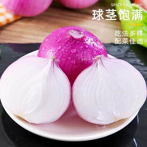 河南新鲜紫皮洋葱甜葱头可生吃农家种植蔬菜5斤/9斤装