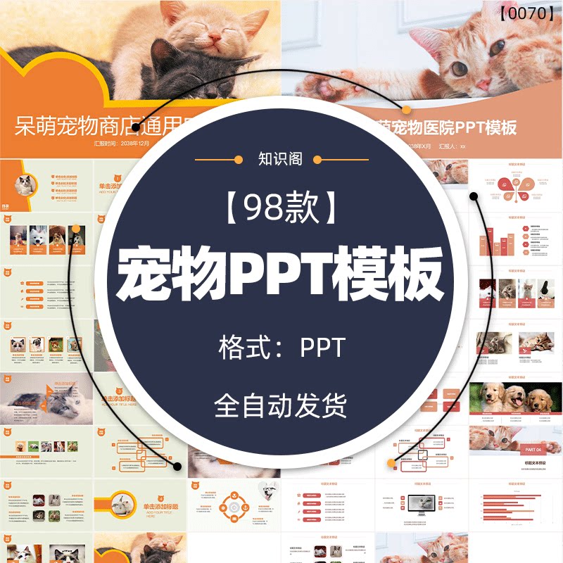 卡通手绘可爱宠物ppt模板猫咪狗粮犬类动物萌宠物店行业主题wps