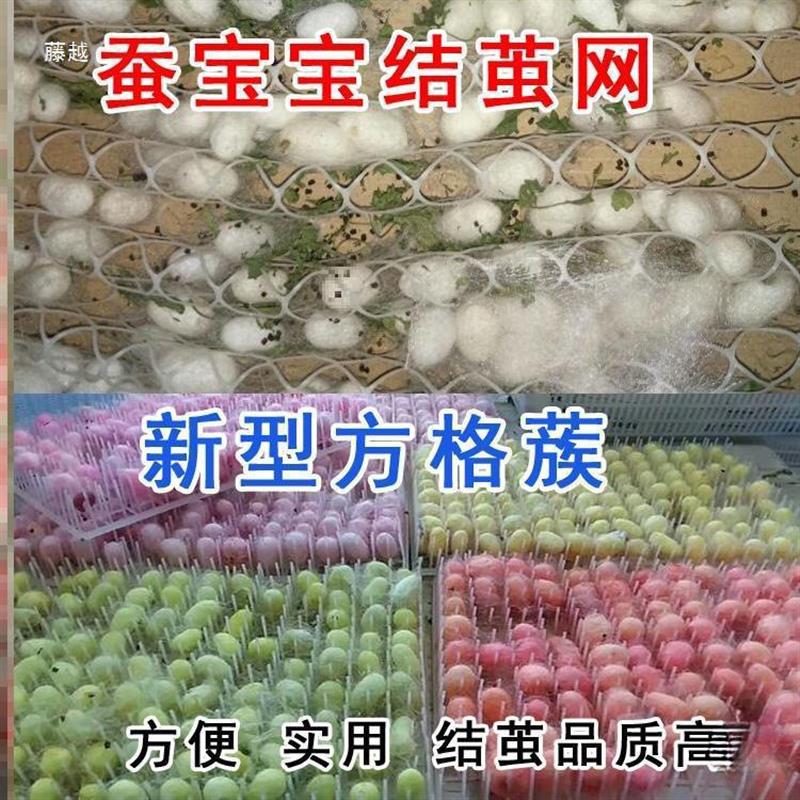 蚕宝宝吐丝网蚕结茧网蚕茧屋饲养工具白格耐用养蚕盒箱塑料蚕蔟桑