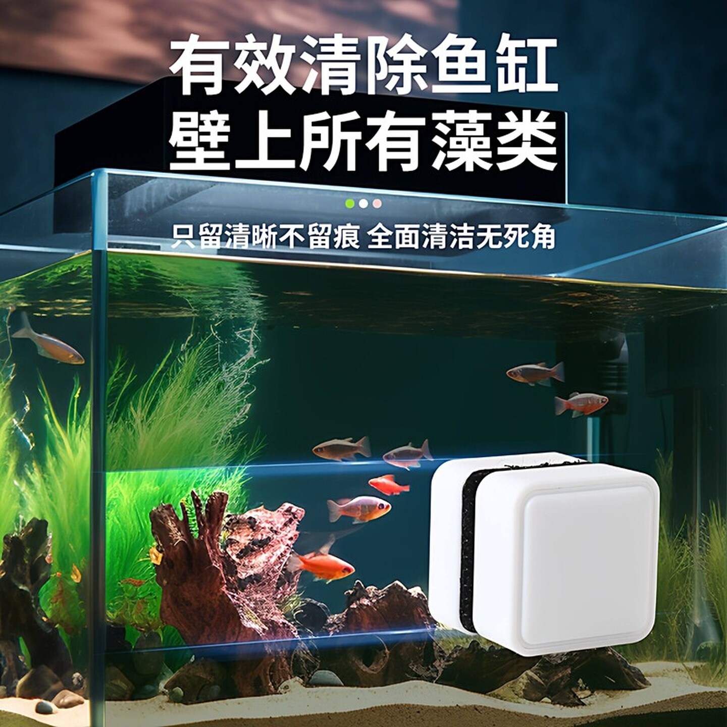 鱼缸磁力刷超强无死角清理工具内壁青苔刮藻水垢清洁刷擦鱼缸玻璃