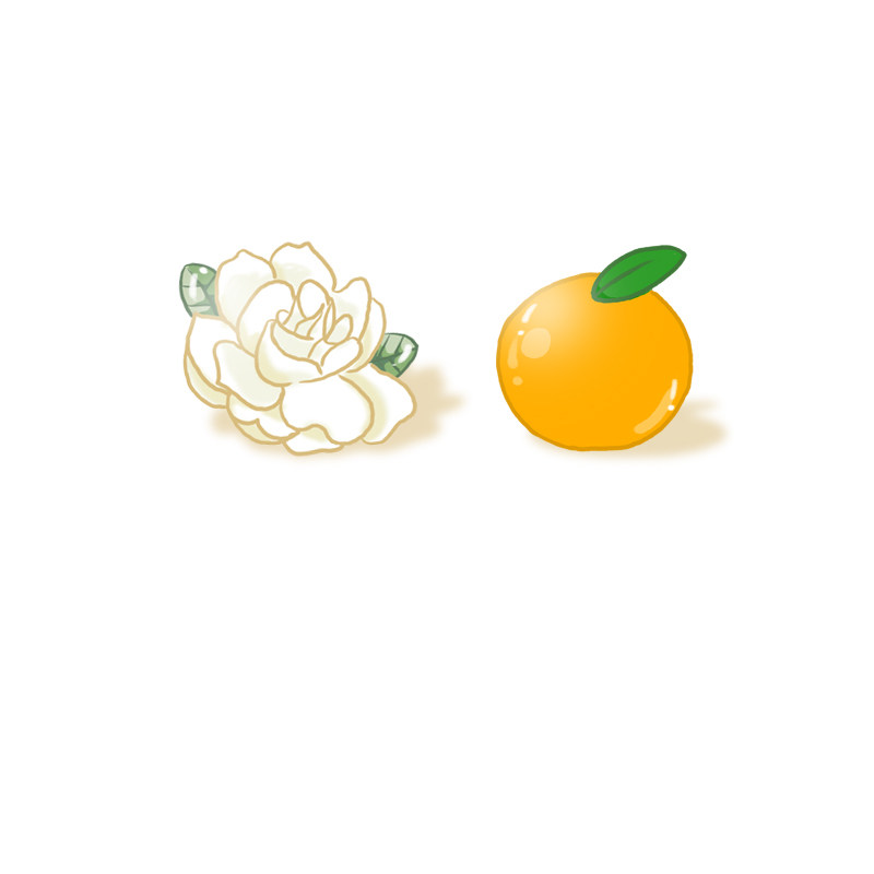 浪浪钉耳钉柑橘栀子花耳饰俊哲周边山人应援耳夹不对称少女水果