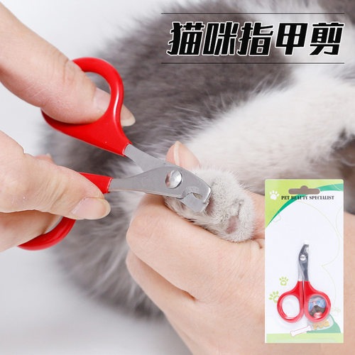 其他美容护理用品