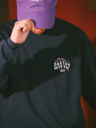 DAKYAM(达人)Arctic Odyssey 探索北极山脉印花圆领加厚长袖TEE恤