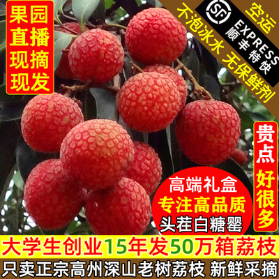 高端老树高州白糖罂荔枝爆甜空运