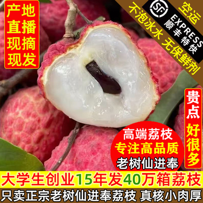 老树仙进奉荔枝小核新鲜现摘空运