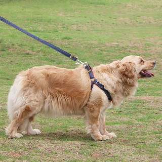 狗狗牵引绳胸背带定制小型犬大型犬金毛背心式宠物狗绳狗链子专用