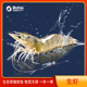 渤海水产有机盐田虾生虾 1.5kg量贩装 60规格