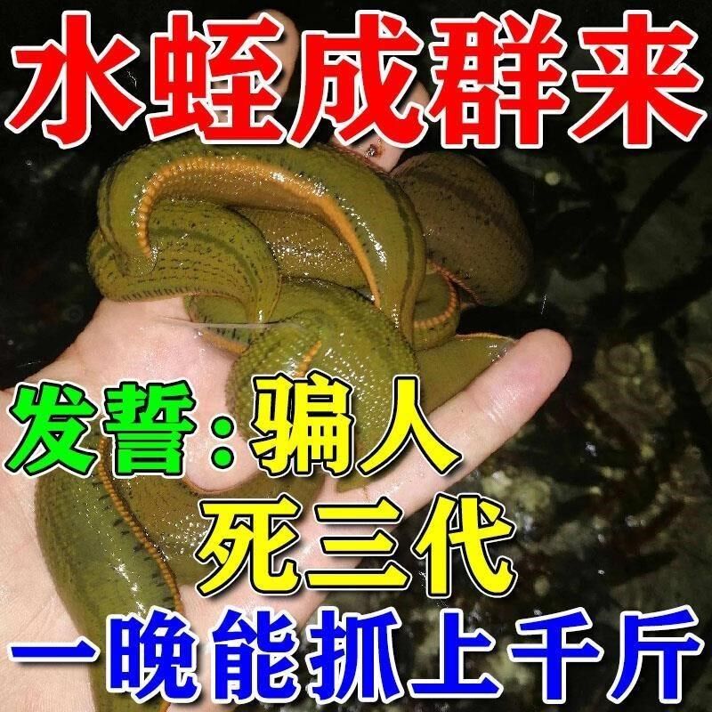 水蛭捕捉器诱捕饵料抓马鳖蚂蟥水蛭蚂蝗浓缩诱剂鱼饵神器捕捉工具