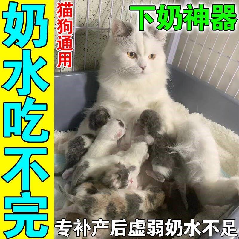 母猫产后催奶营养补充剂猫咪月子餐下奶神器猫狗产后奶水不足专用