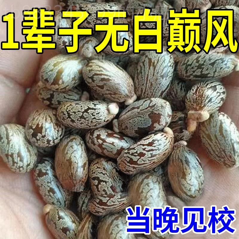 【白癜风不求人】白斑净白癜风膏皮肤白斑汗斑黑色素缺失专用膏H
