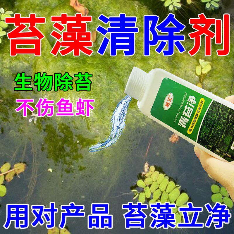 青苔清除剂青苔分解酶鱼塘除藻剂水面水底长青苔悬浮青苔去除