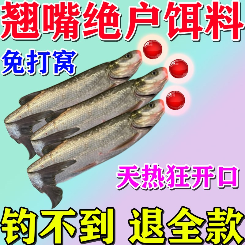 主攻大翘嘴专用饵料春夏野钓黑坑垂钓翘嘴白条四季通杀诱鱼食剂饵