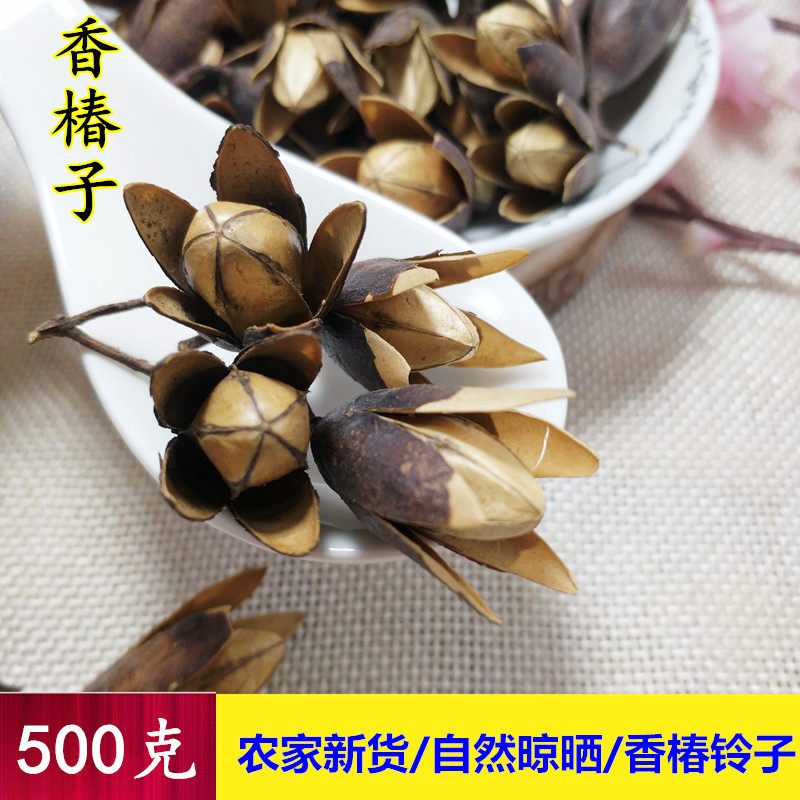 香椿子 新鲜干货500克野生椿树果铃春芽春树花中药材散装香椿子