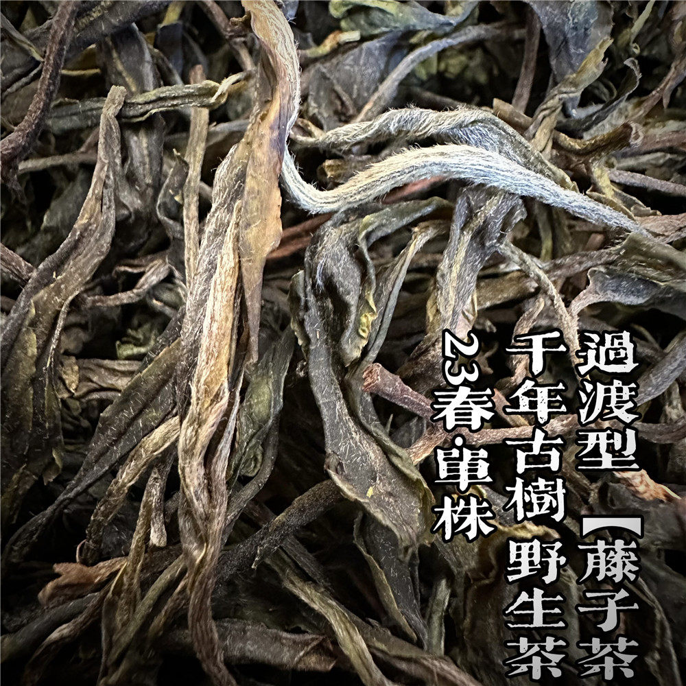 2023春大雪山千年古树野生茶过渡型藤子茶散茶章太藤子茶单株200g
