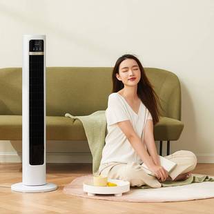 塔 D40J2电风扇落地扇无叶家用轻音节能立式 官方正品 小熊塔扇DFS