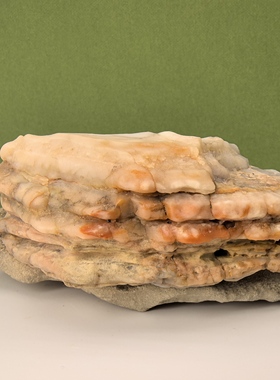 戈壁奇石摆件原石底座平台金丝玉沙漠漆老皮泥石戈壁奇石原石