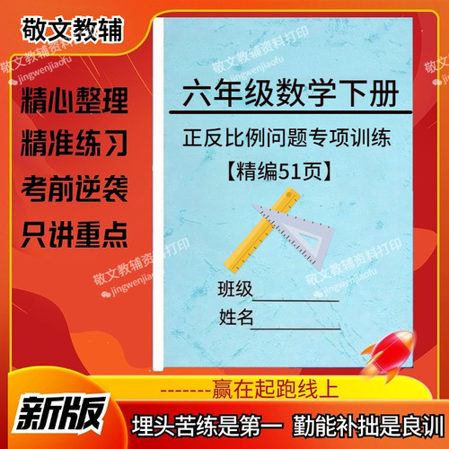 小学六年级数学下册比例问题专项