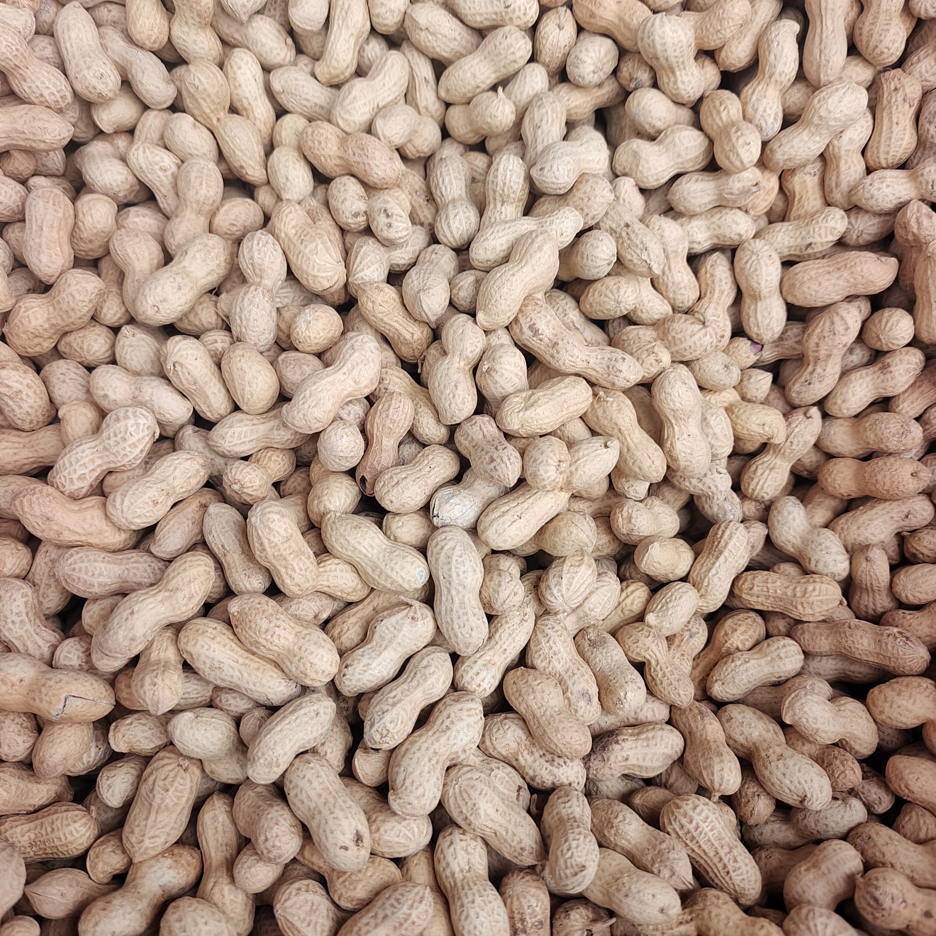 安徽舒城特产农家自制手工花生米传统糕点休闲零食特产年货